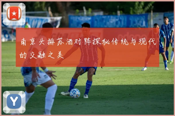 南京头排苏酒对阵探秘传统与现代的交融之美