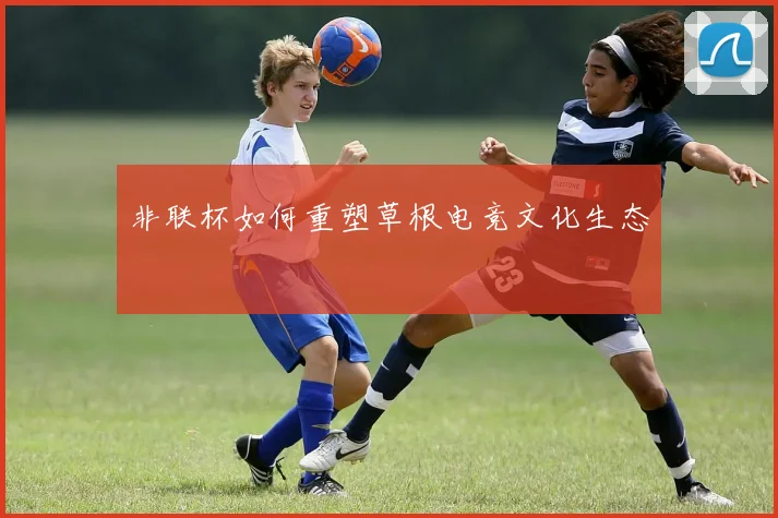 非联杯如何重塑草根电竞文化生态