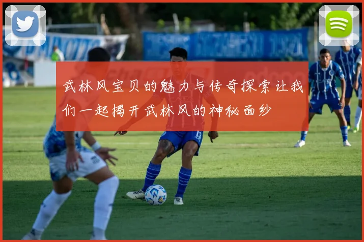 武林风宝贝的魅力与传奇探索让我们一起揭开武林风的神秘面纱