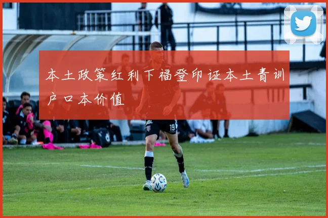 本土政策红利下福登印证本土青训户口本价值